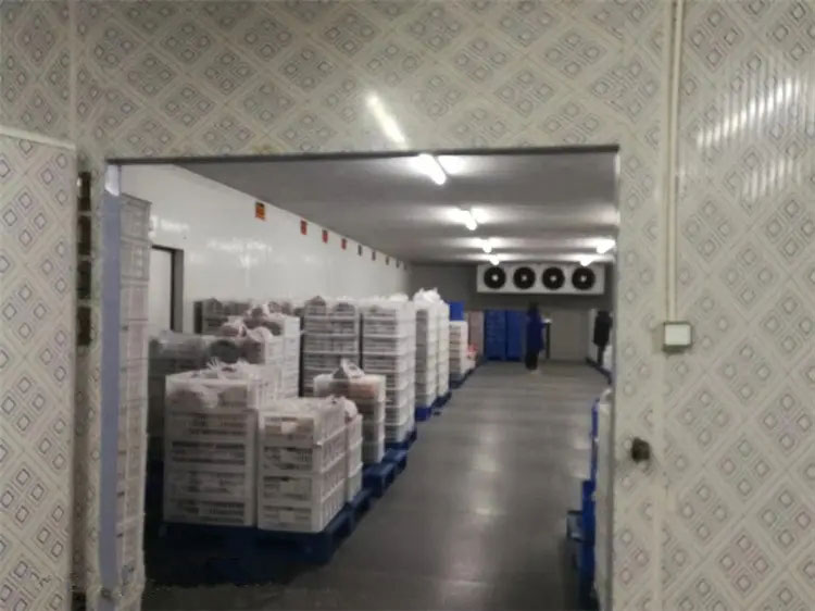 图为环球UG工程制作的冷库
